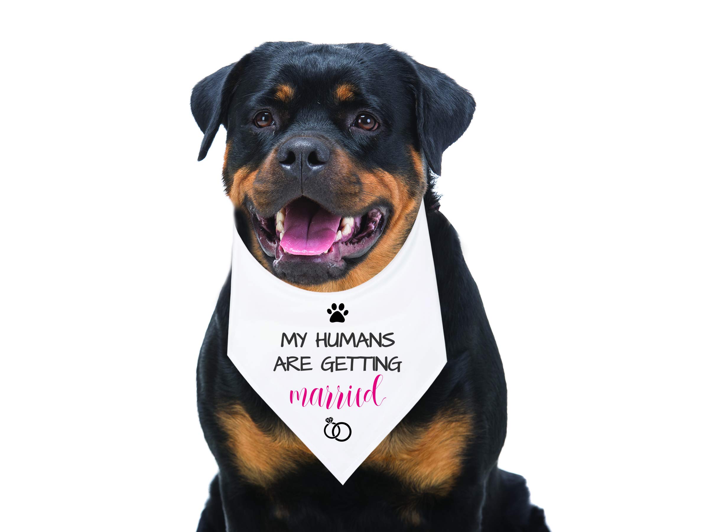 Verlobungs-Hundehalsband "My Humans Are Getting Married" – Verstellbar, Mit Bandana