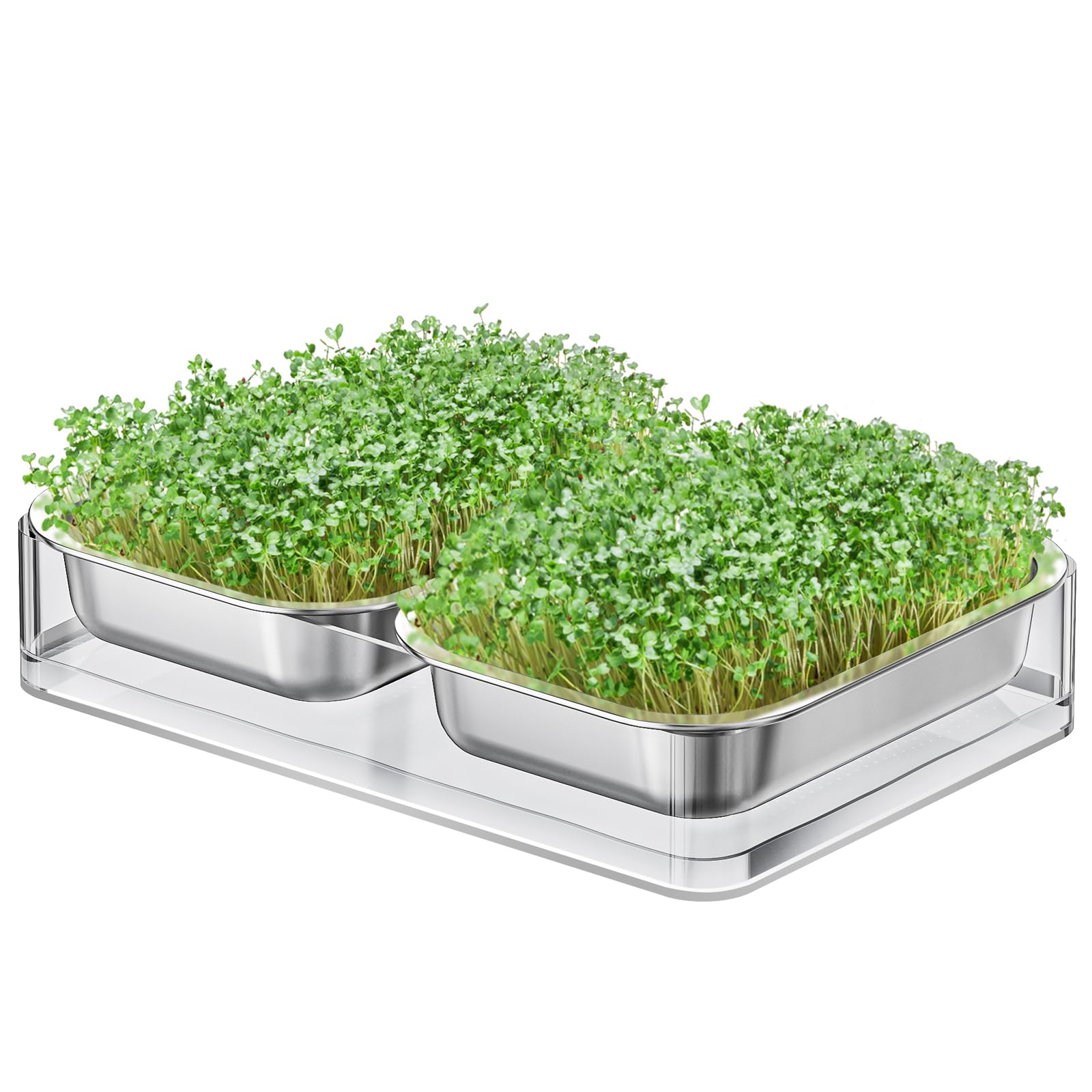 FANHAO Edelstahl Sprossen Anzuchtset mit Acrylschalen Microgreens Anzuchtset Edelstahl Pflanze Keimschale