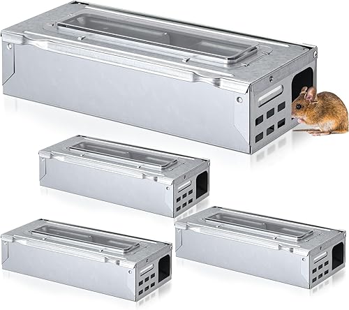 Qualirey Paquete de 4 trampas para ratones de captura múltiple, parte superior transparente, humanizada, para interiores y exteriores, control de