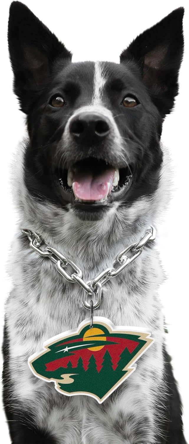 Littlearth NHL Pet Fan Chain