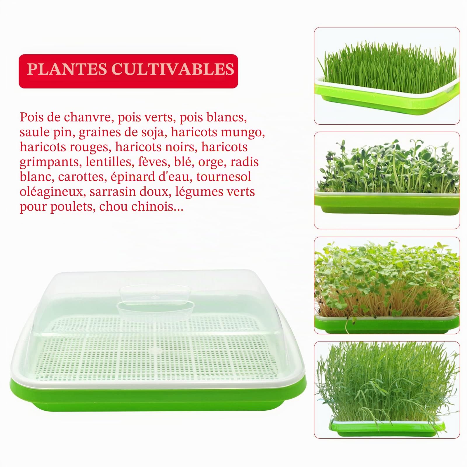 5 Couches De Graines Germées Plateau Microgreens Kit De Croissance Graine Germoir Plateau avec Couvercle Graines D’Herbe De Blé Cultivateur Plateaux De Rangement pour Jardin Cuisine Maison