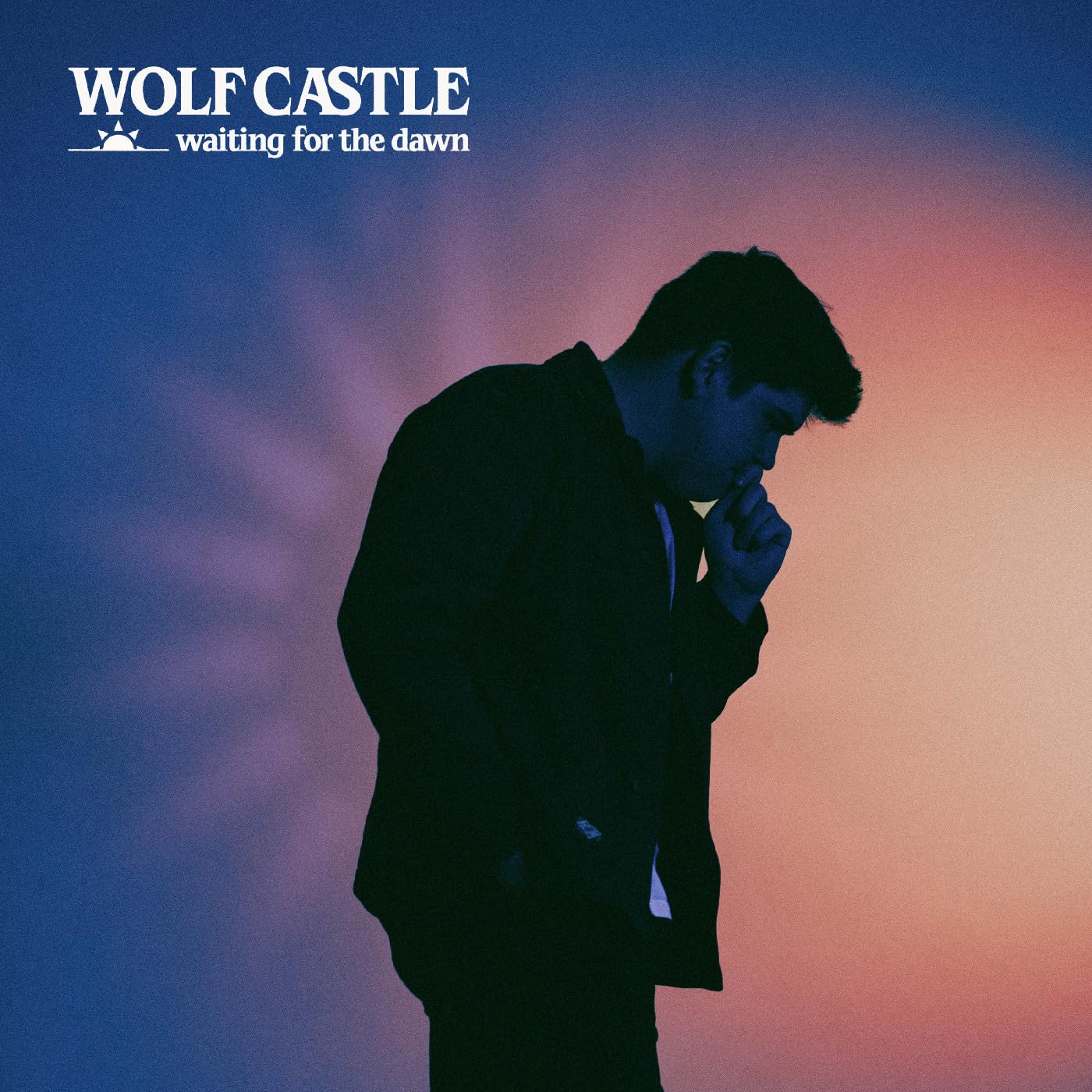 Waiting For The Dawn [VINYL]