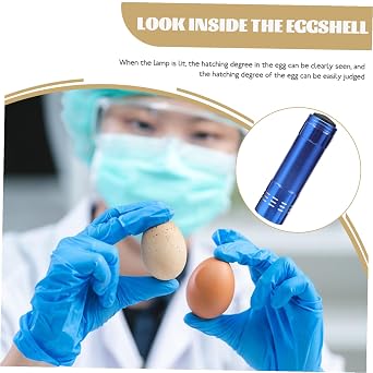 Portable Egg Incubator Camera LED Cold Light for Candling Chicken Duck Eggs Farm Incubation Supply Lights