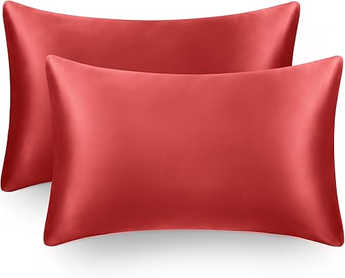 EXQ Home - Funda de almohada de satén para el cabello y la piel, funda de almohada de enfriamiento de tamaño King, funda de almohada, juego de 2