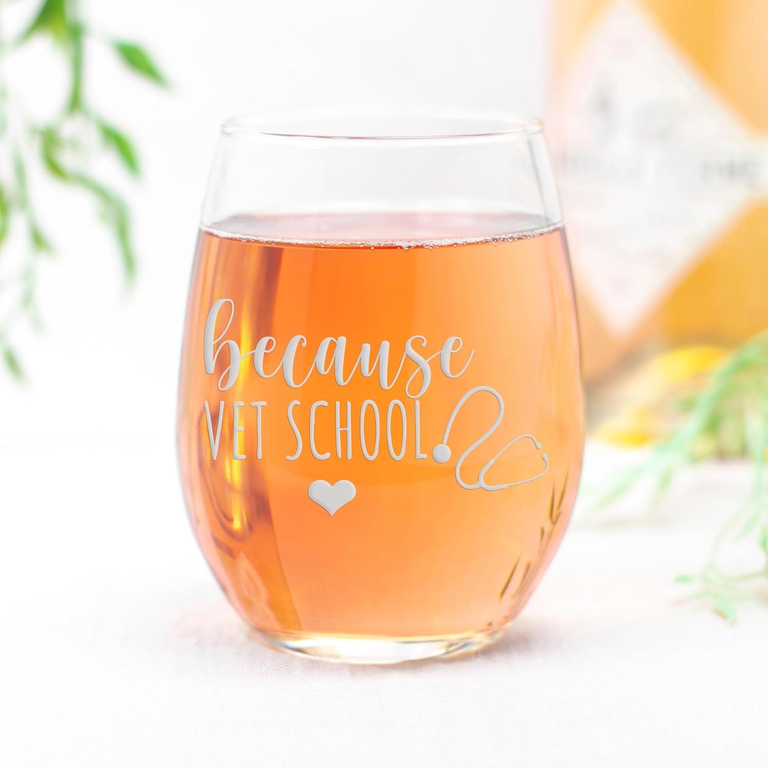Because Vet School Stemless Wine Glass - Veterinarian, Vet Tech Gift - 2 Glasses