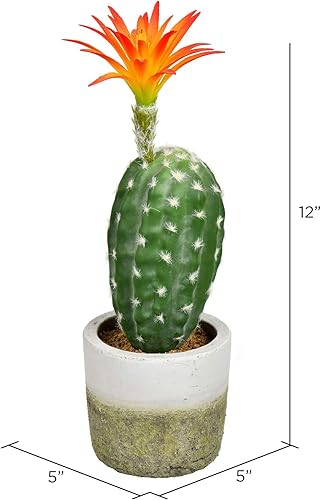 Miniatura 2 de Vickerman Everyday Cactus artificial verde de 12 pulgadas en maceta de cemento - Cactus en maceta prefabricado - Planta de plástico duradero en