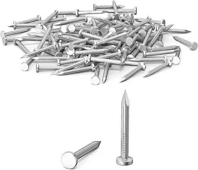 Galvanized Wood Nails - 100Pcs 25mm Round Head Masonry & Picture Hanging Nails