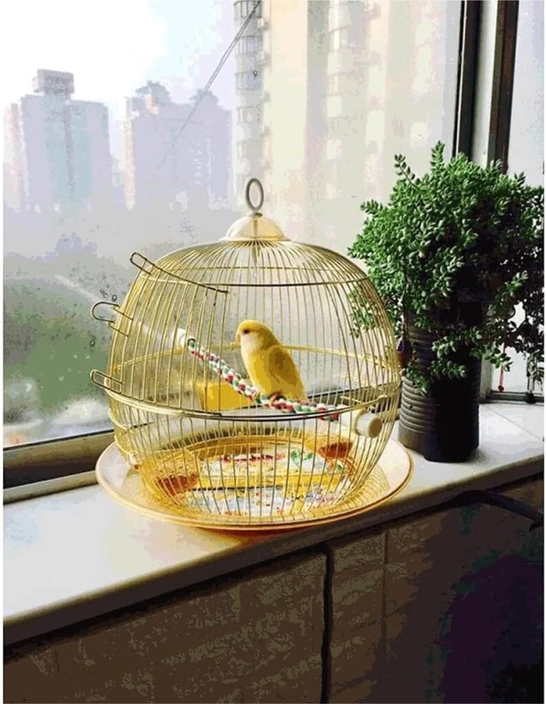 Jaula para pájaros redonda de hierro forjado vintage portátil para periquitos y pájaros pequeños, jaulas creativas para pájaros