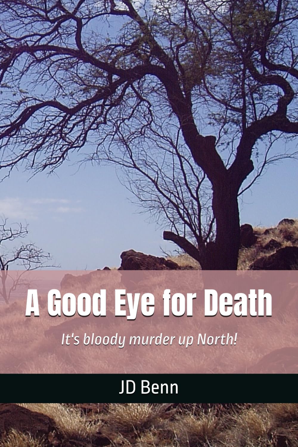 A Good Eye for Death (It's bloody murder up North!)
