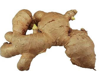 Fresh Ginger Root - 1lb