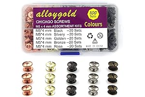 100 Sets Chicago Screw Kit M5*4 for DIY Leather Trim
