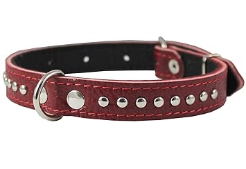Genuine Leather Studded Padded Dog Collar 18