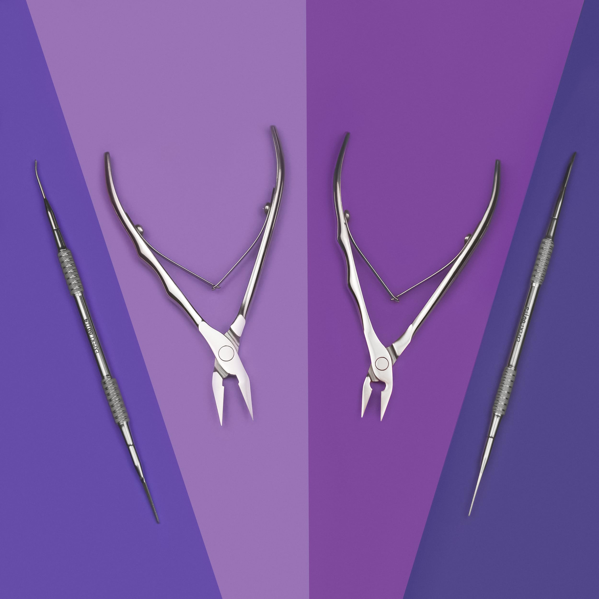 STALEKS PRO Pince coupe-ongles professionnelle pour ongles incarnés 16 mm Spécial pédicure Acier inoxydable Expert (NE-61-16)