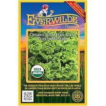 Everwilde Farms - 1000 Organic Southern Giant Curled Mustard Seeds - Gold Vault Packet