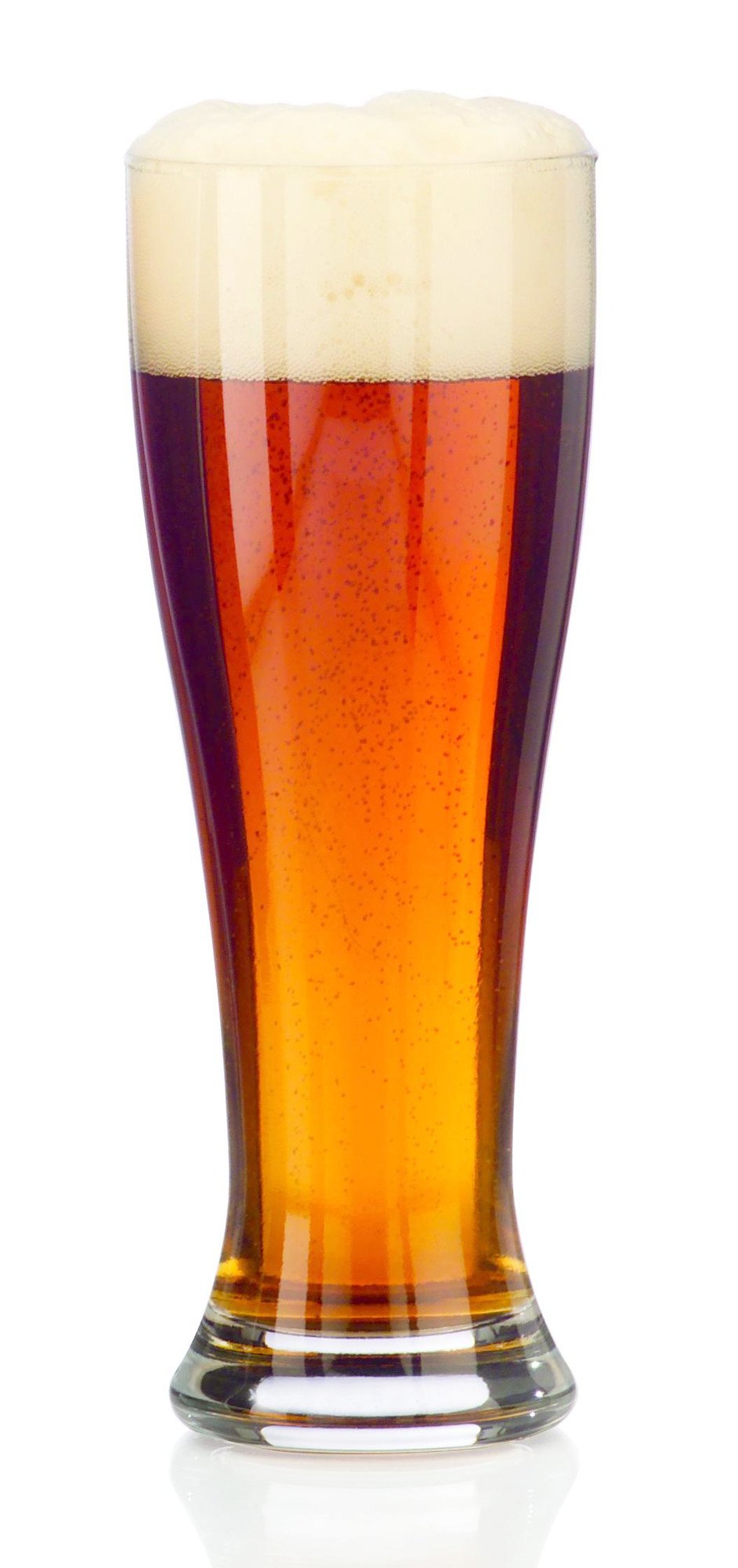 Pilsner Glass () by Libbey – 16 US fl. oz (437mL), 16.0 ounces, Glass, Clear, Pack of 12