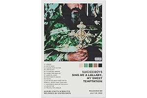 Stunning Suicid-eboys Album Cover Wall Art for Trendy Teen Spaces