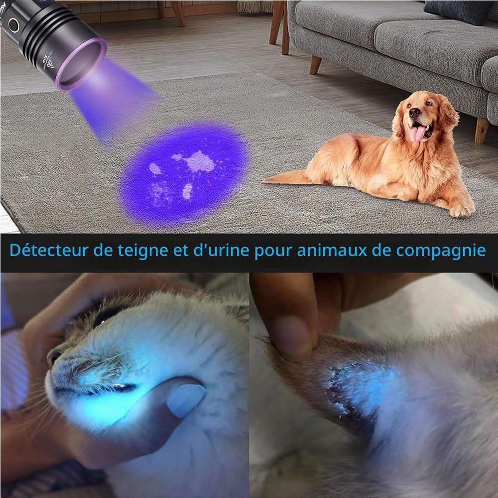 Alonefire SV117 70W Lampe Torche UV LED 365nm Puissante USB C Rechargeable Lumiere Noire Affichage Numérique pour Resine, Pêche, Scorpion, Minéraux, Ambre avec Lunettes de Protection UV, Batterie