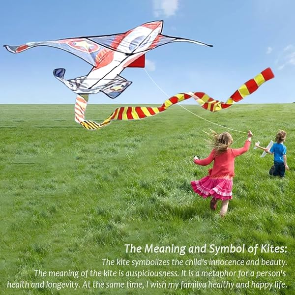 VLEDARLING Aquilone per Bambini e Adulti, Fighter Plane Kite, Aquiloni per i Bambini, Aquiloni Colorati, Aquilone per Principianti Facile da Far Volare, con Linea di Kite da 100M - 4