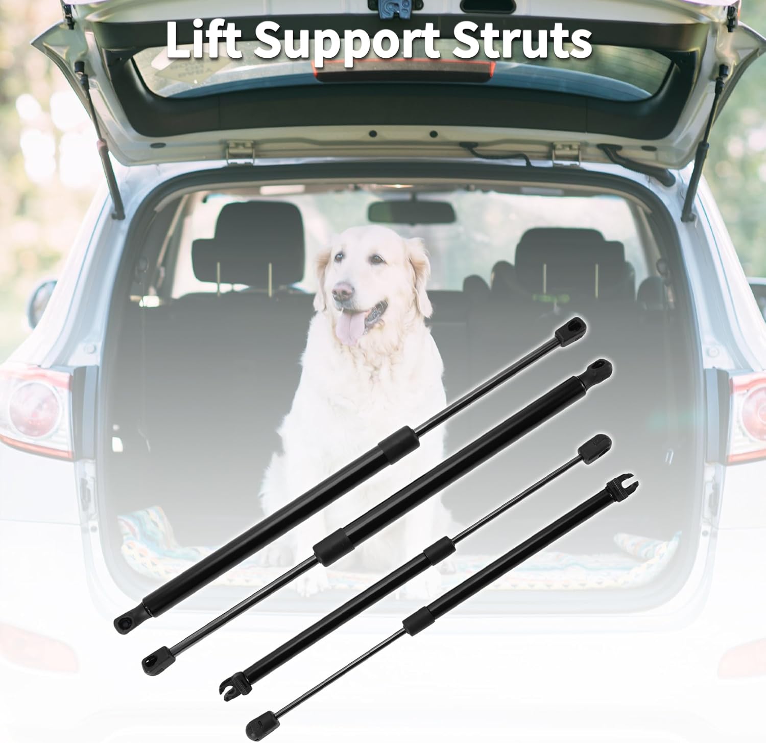 Lift Supports Struts for Nissan Pathfinder 2005-2013 Rear Window Glass & Tailgate Gas Spring Black 4PCS