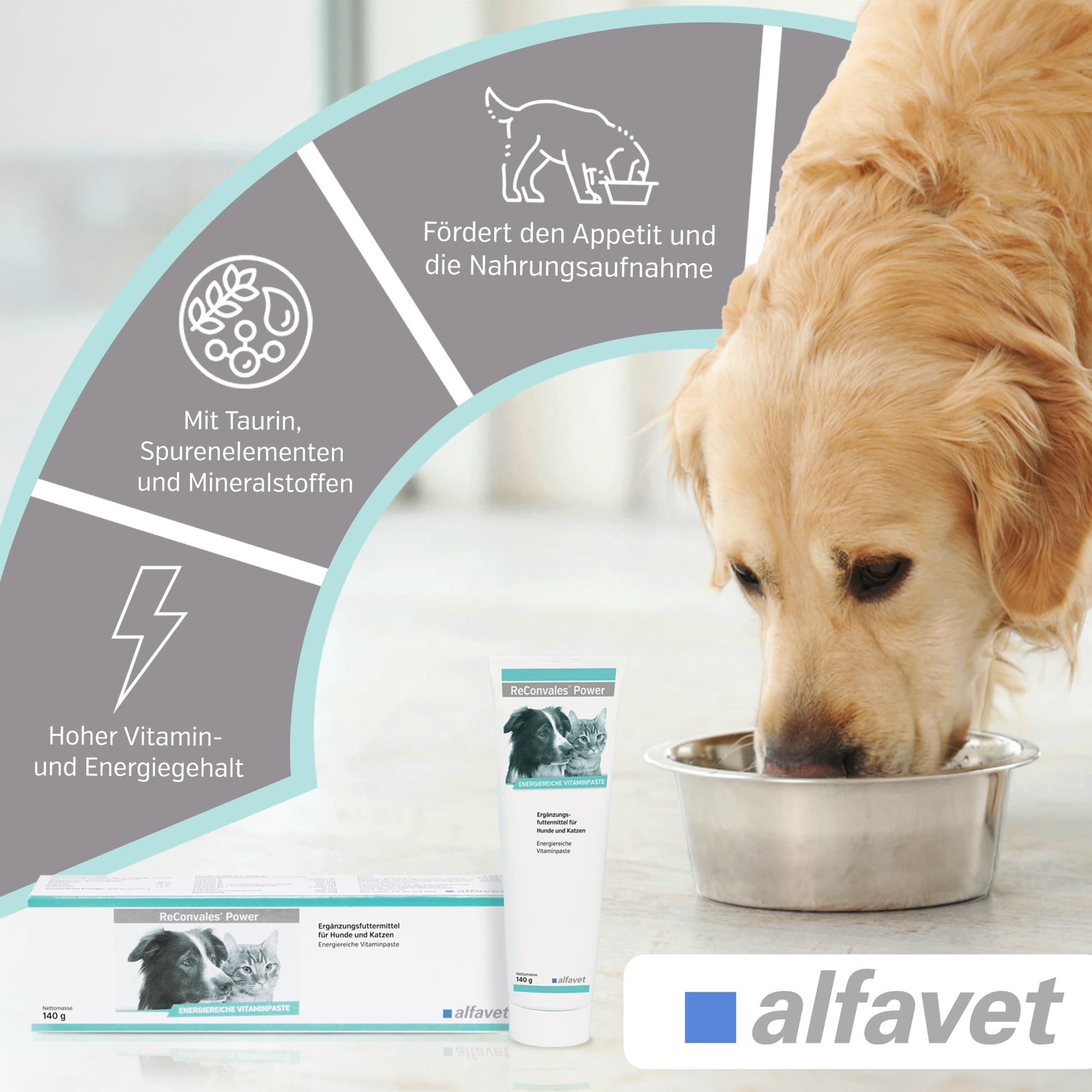 Alfavet ReConvales Power (140 g) – Mangime complementare ad alta energia per cani e gatti – pasta nutrizionale con vitamine, minerali e taurina