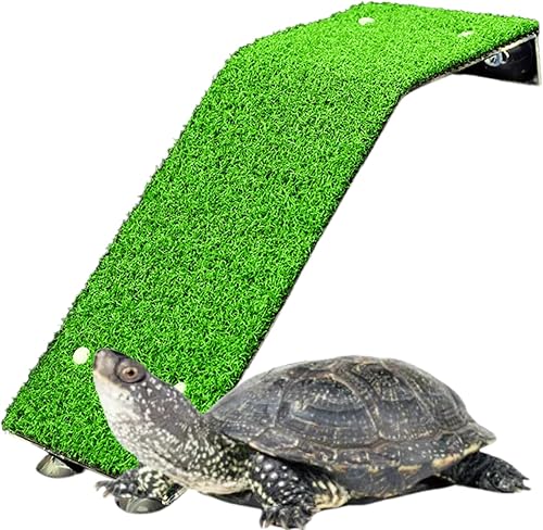 Miniatura 7 de Saim Turtle Basking Plataforma
