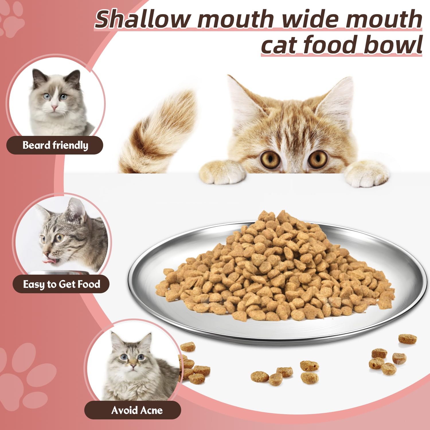 12 ciotole per cibo per gatti in acciaio inox, piccole e piatte da 17 cm, perfette per gattini, gatti, furetti, gatti randagi