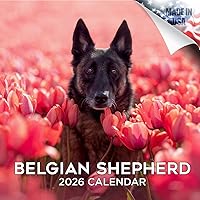 Vista 188 de Razas de Perros 2017