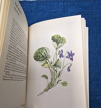 ヴィンテージ ハーブ アート FRESH HERBS Herb Garden stencil