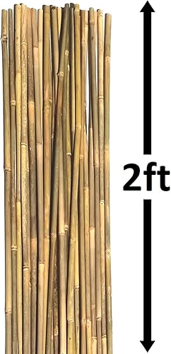 Miniatura 5 de Bastones de bambú natural, estacas de jardín ecológicas de 16 pulgadas de largo (20 unidades) de bambú Dlh Western