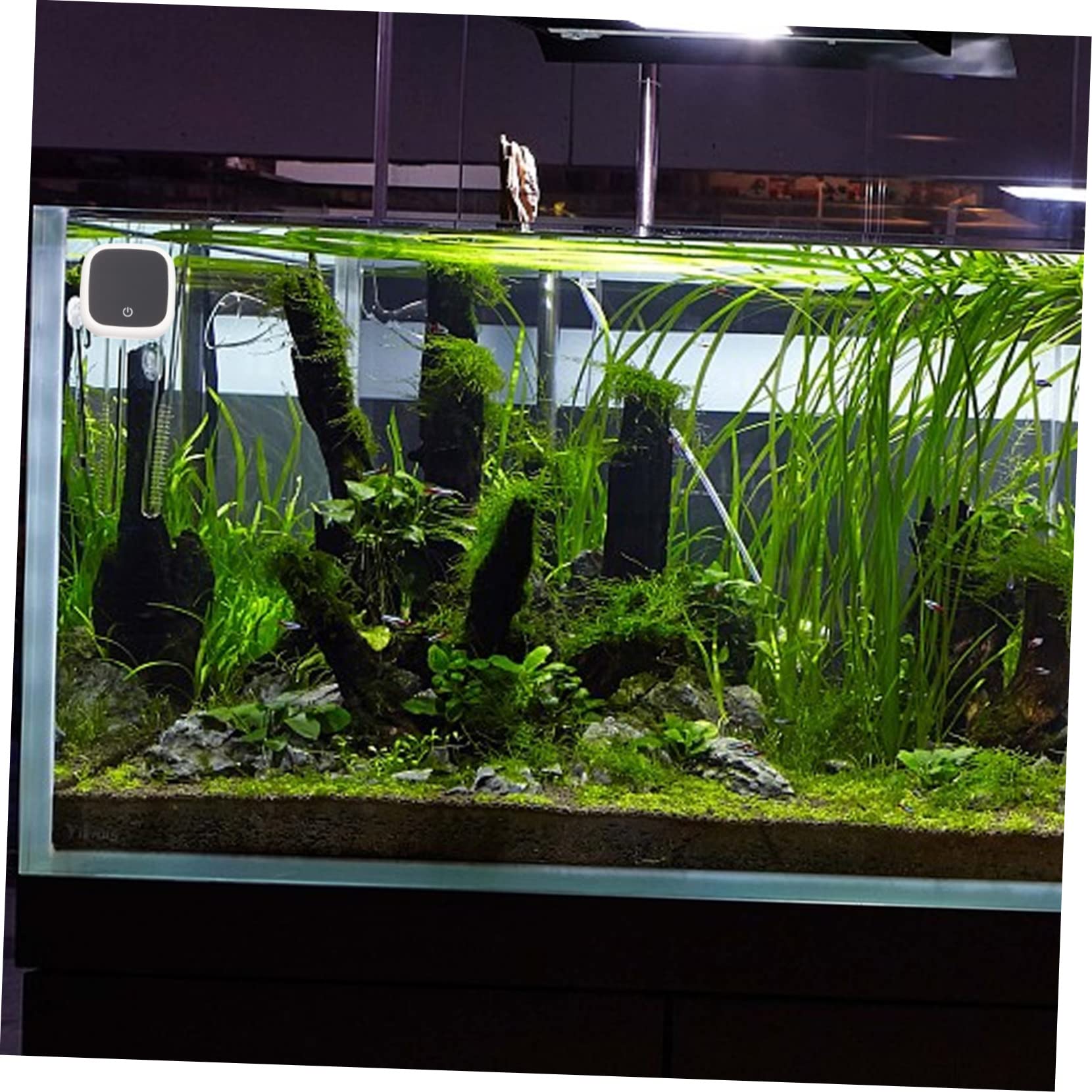 Kisangel 5stücke Wassertemperaturthermometer Für Aquarien Digitale Led-anzeige Präzise Messung Für Süß Und Meerwasser Für Reptilien Und Aquarienliebhaber Wasserfest Und