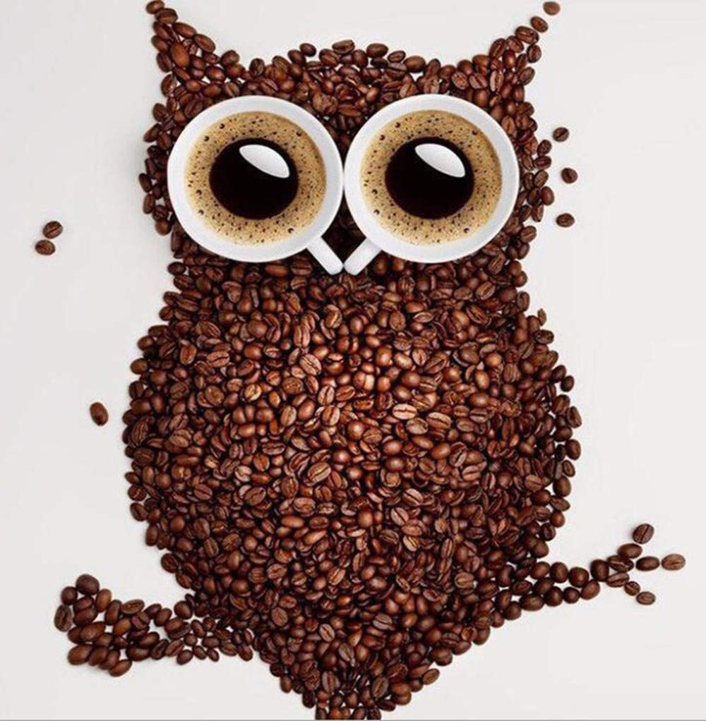 Coffee Beans Owl Diamond Painting - MaiYiYi 5D Full Round Diamond Painting Arts Crafts for Adults Coffee Diamond Painting Dots Kit for Kitchen Decor (26 x 26 cm)