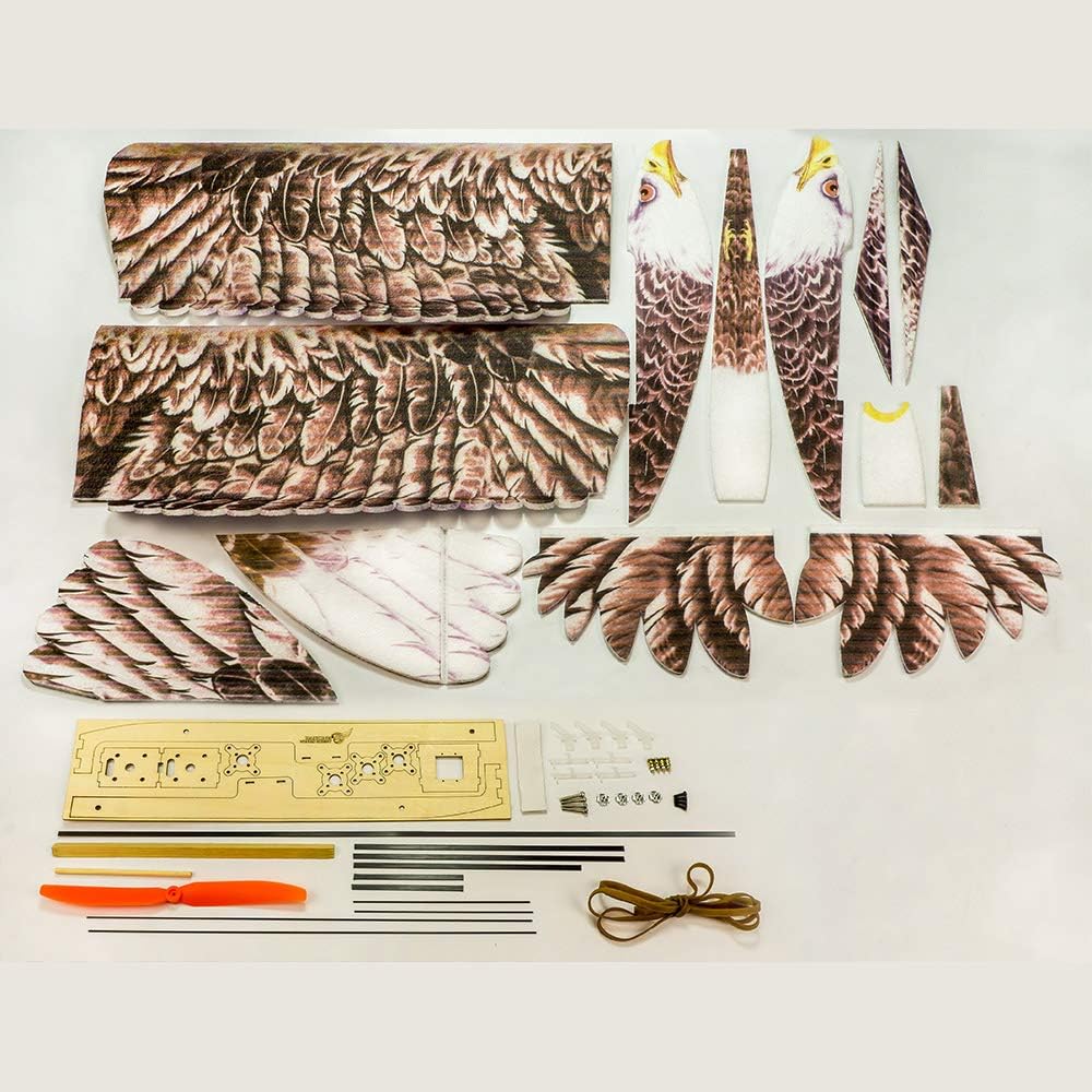 GoolRC Dancing Wings Hobby E1901 EPP RC Airplane Eagle Plane 1430mm Electric Powered Aircarft Unassembled KIT Version DIY Flying Model