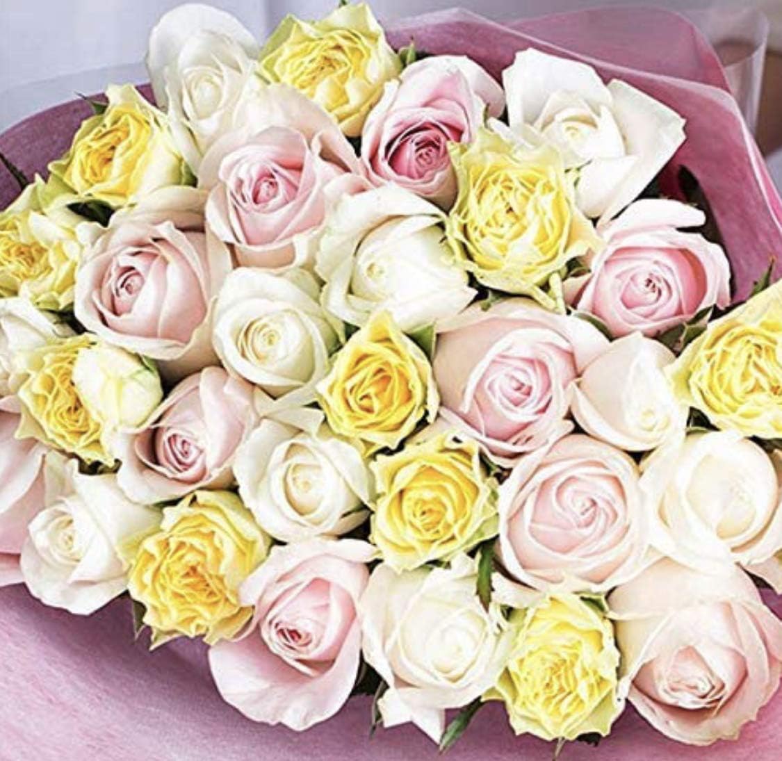 薔薇生花 10月神無月様専用 ローズBOXギフト 10本 | 花のギフト