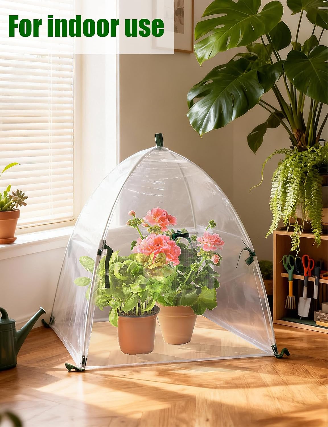 ミニ温室、クリアアウトドアガーデンフロストカバー、屋内屋外用ポータブル小型グリーンハウス、小さな植物ハウステント 【ポップアップキャノピーテン】 コールドフロストプ