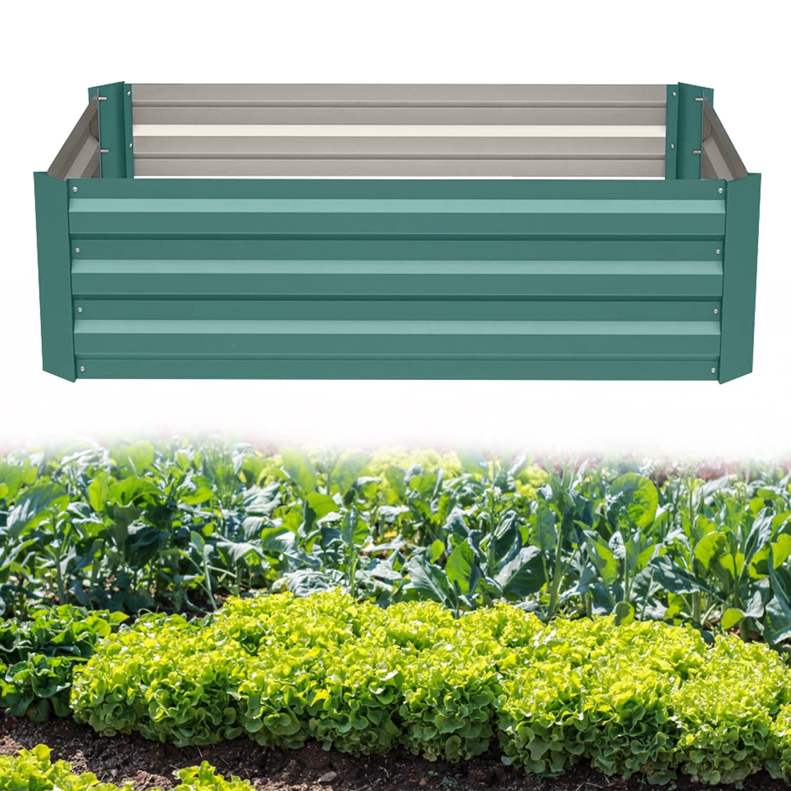 Buy DKIEI Raised Beds Garden Raised ers, Galvanised Steel Powder Coated