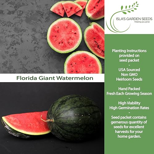 Cultiva enormes sandías gigantes de Florida, más de 25 semillas de reliquia sin OMG de Isla's Garden Seeds, melones masivos de 40 a 50 libras con