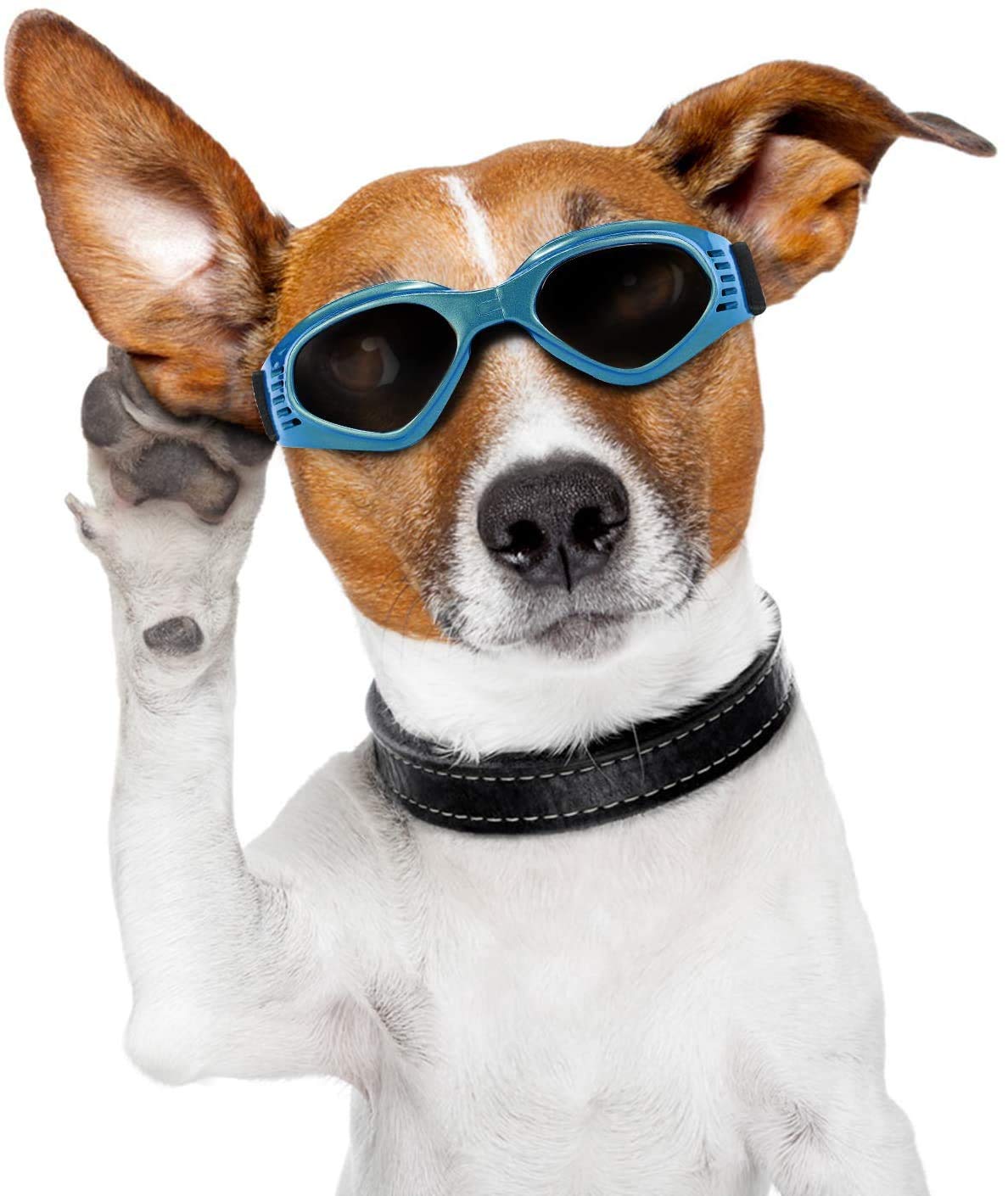 Occhiali da Sole e protettivi per cani di piccoli taglia, anti UV, impermeabili, Pieghevole Pet Dog Occhiali (Blu)