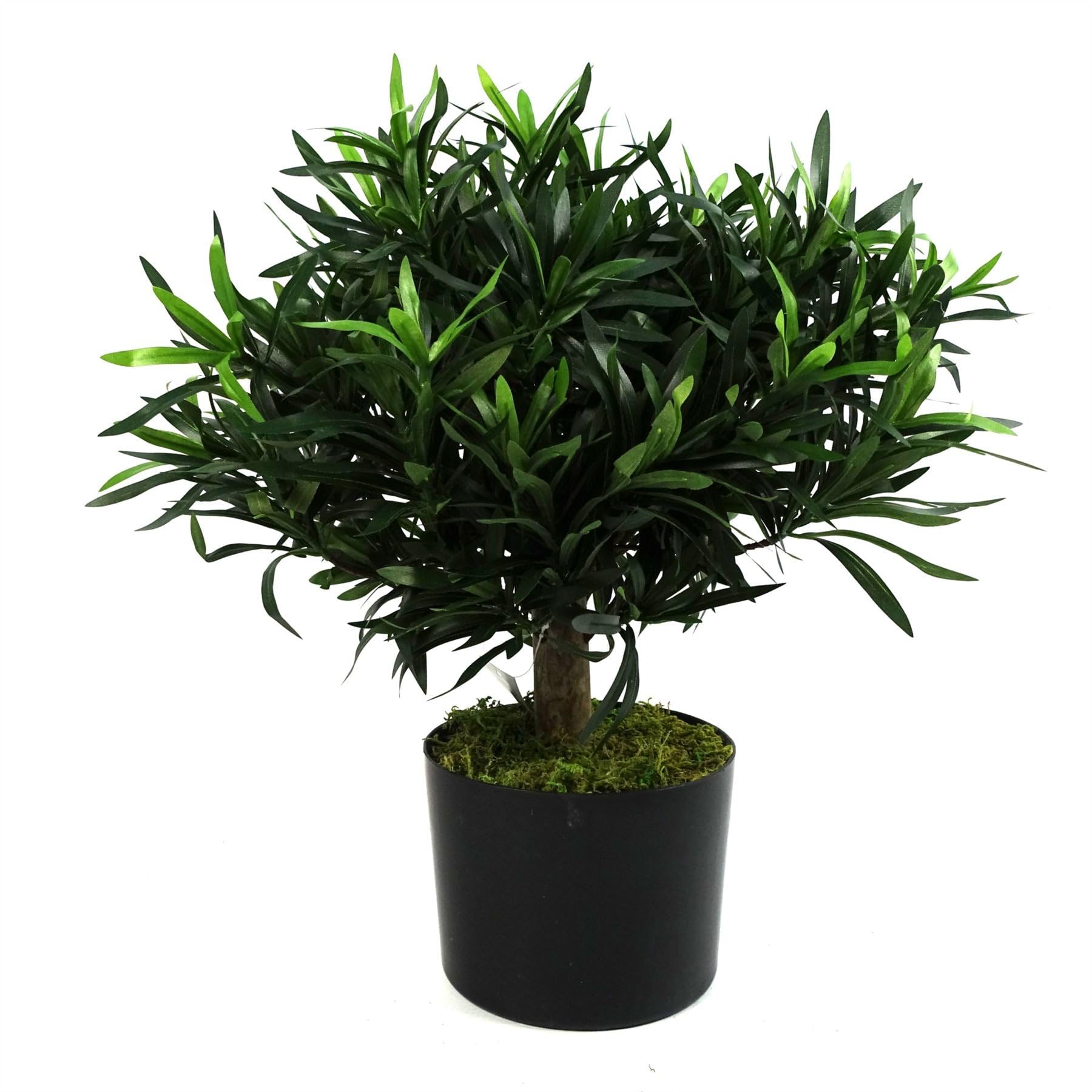 Realistic Podocarpus Bush Plant 40cm - Botanik - Green Wood Silk Plastic