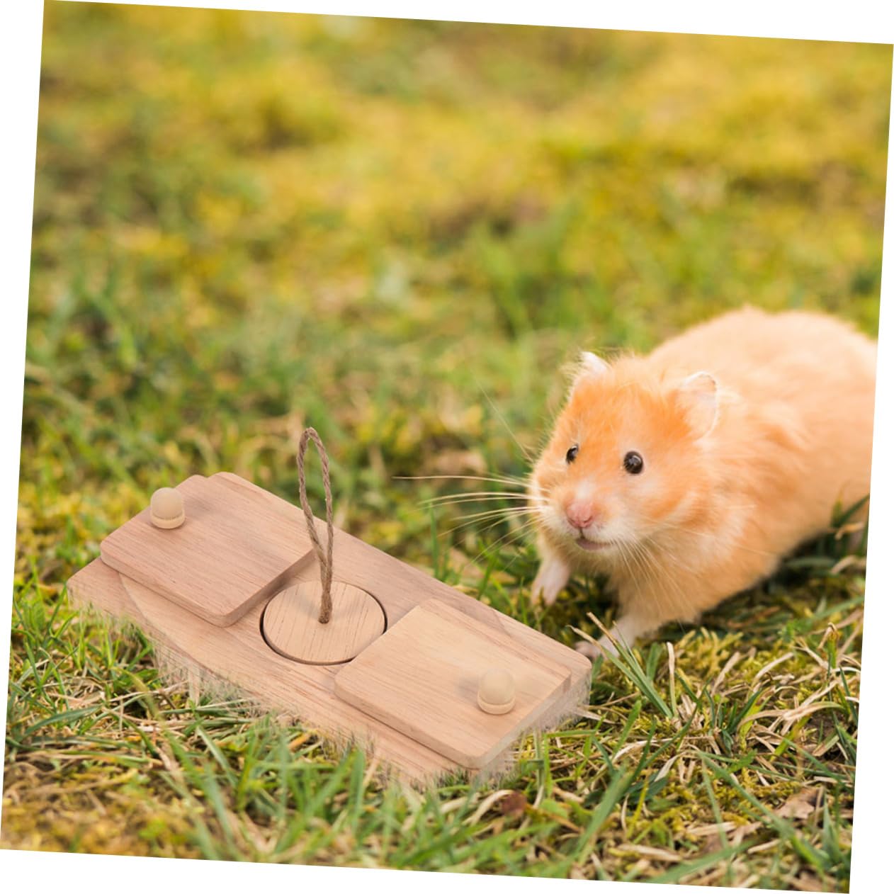 Happyyami 2stücke Hamster Spielzeug Interaktive Futterversteck Spiele Für Kleine Haustiere Käfig Zubehör Und Entspannung Für Zwerghamster Und Rennmäuse