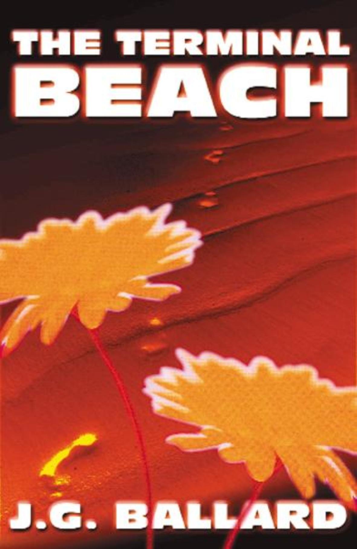 Buy The Terminal Beach: Terminal Beach (PB) — BookShops.in