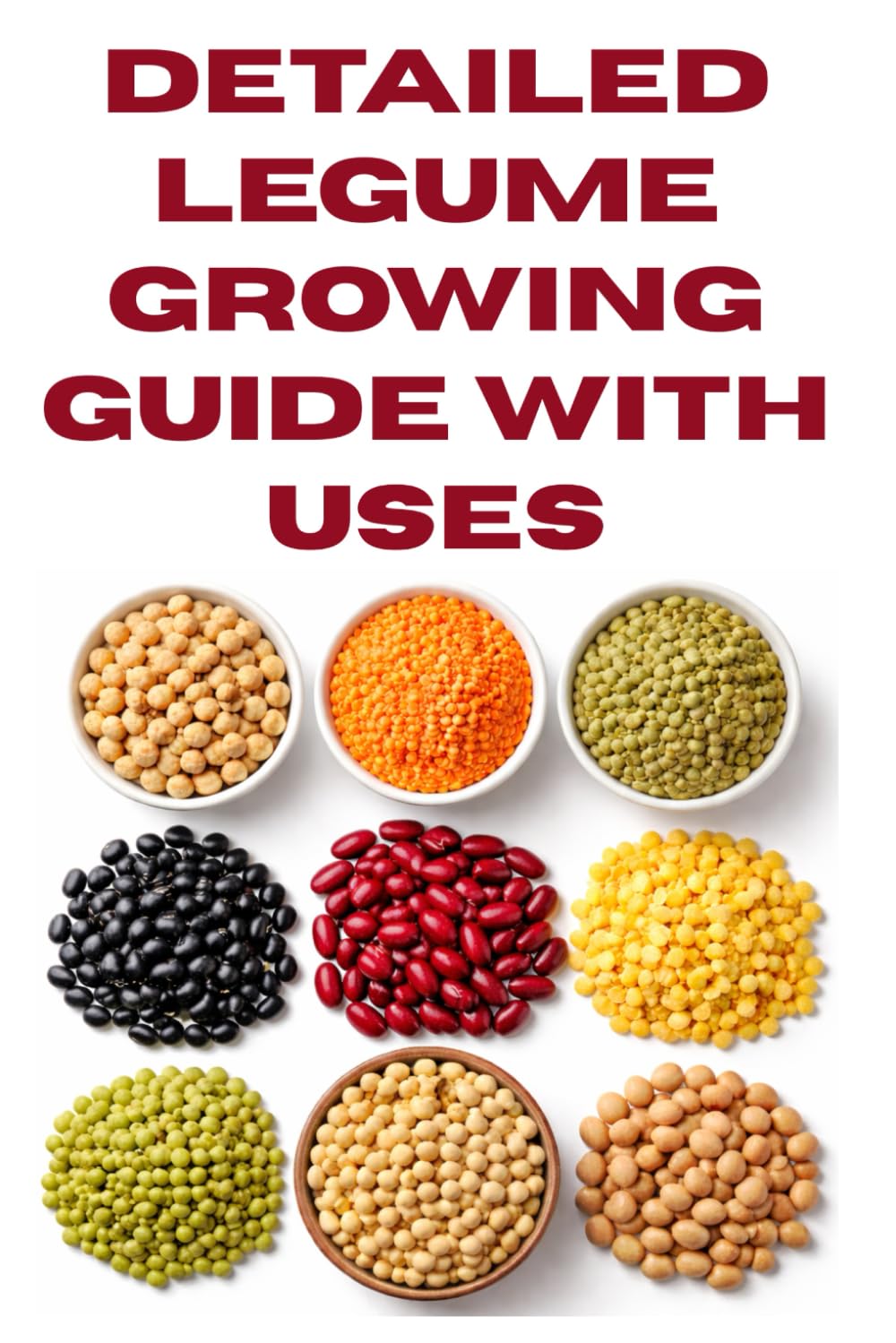 Detailed Legume Growing Guide with Uses (A Detailed, Informative Series on Homesteading)