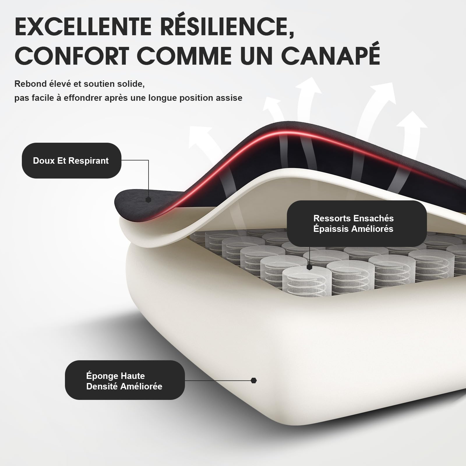 Douxlife Chaise Gaming Ergonomique avec Massage Chaise de Bureau