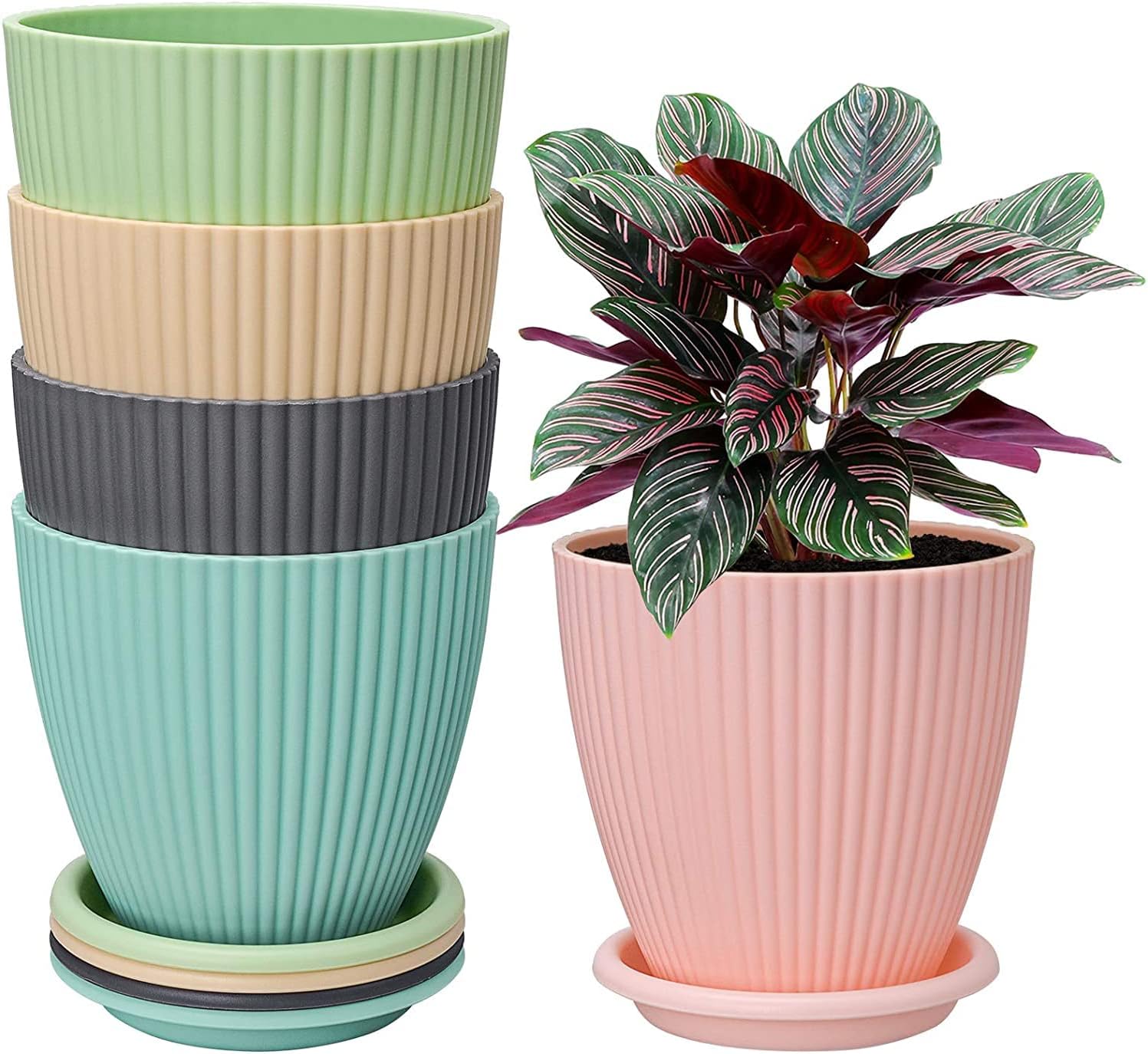 INKULTURE Plastic Round Flower Pot with Tray | Plant Pot for Home, Terrace, Garden Etc | Planter | Pack of 05 | Multicolor | Size 6.5 Inch | for Home Indoor & Outdoor Gardening