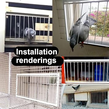 Pigeon Loft Door Pigeon Entrance Door Trap Door Pigeon House Door Racing Supplies Pet Bird Supply Product Bird cage Door (60cm/24in)