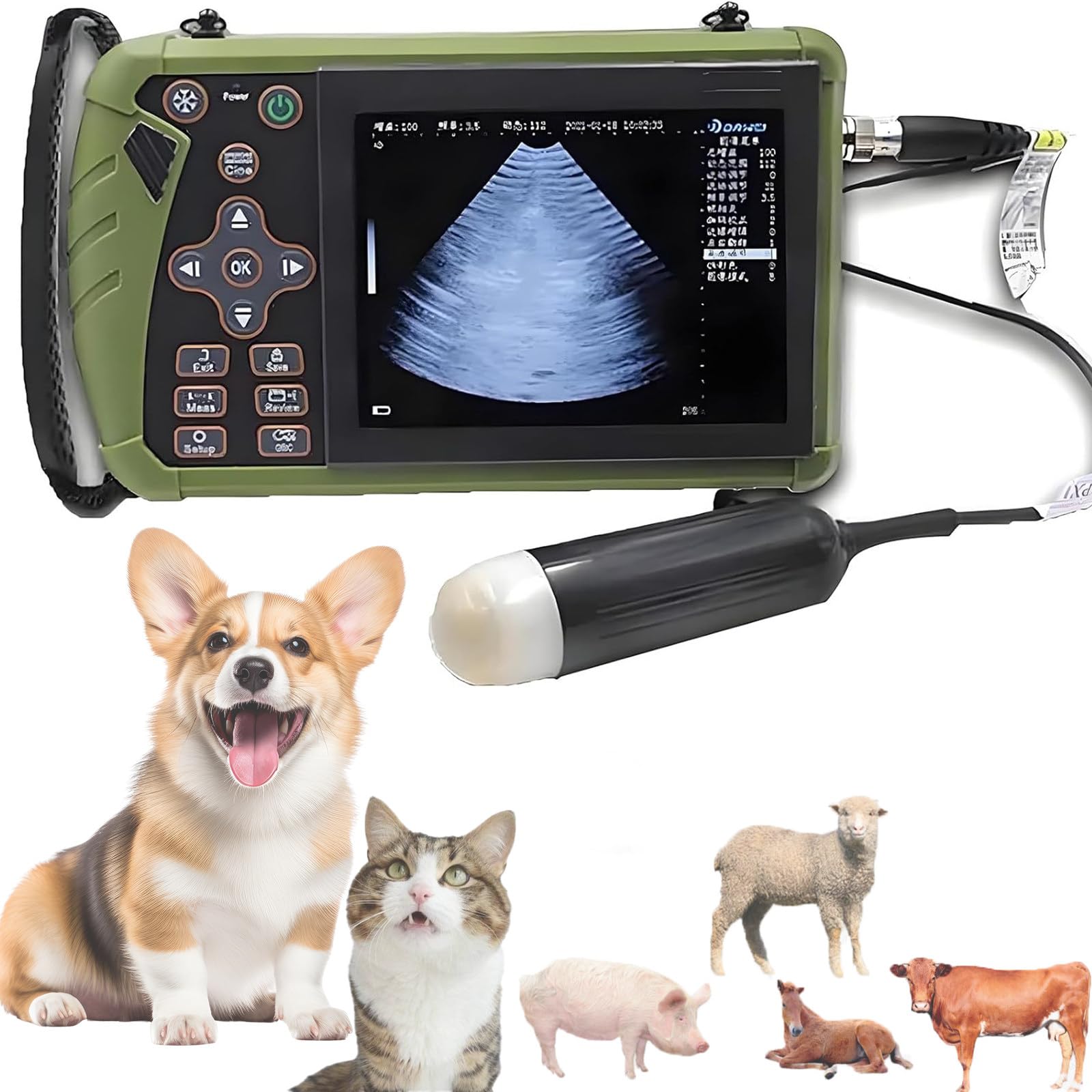 échographe Vétérinaire Portable pour Le Diagnostic de Gestation chez Les Petits Animaux (Porcs, Moutons, Chèvres, Chiens), Utilisation en élevage