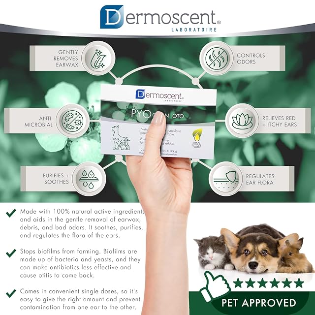 Foto 3 de 7 de Dermoscent 920-7220 Pyoclean Oto 10 Monodosis