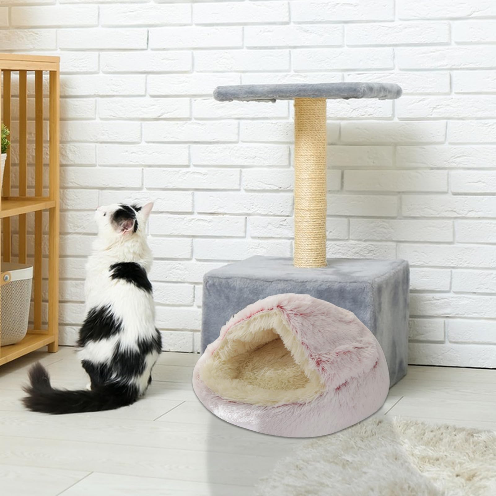 Cuccia per gatti | per gatti chiuso e calmante per animali di | piccola taglia – Cuccia per gatti lavabile in lavatrice soffice cuccia per gatti rimovibile per cani di grossa taglia, gattin