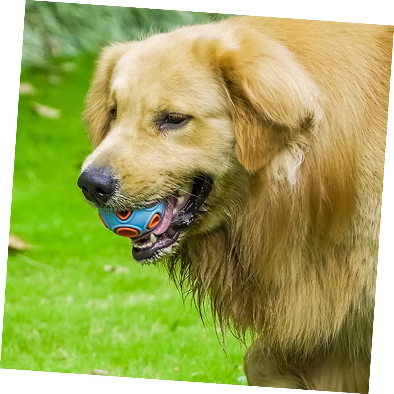 BESPORTBLE Giocattolo per Cani Interattivo in Gomma Resistente al Morso Suoneria per Stimolare Gioco la Pulizia dei Denti 2 Unitá
