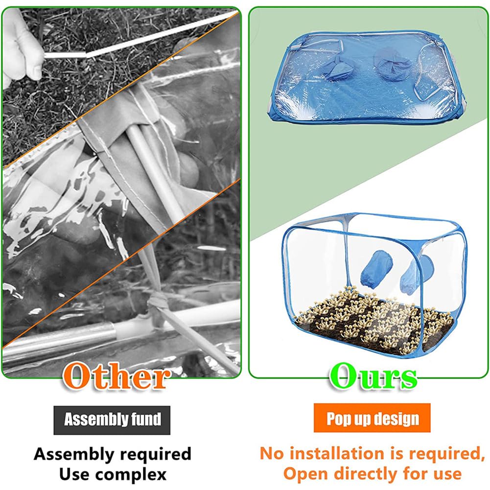 Hapihom 35.8x23.2x22.8inch Mushroom Growing Still Air Box Pop up Mushroom Grow Tent Kit Portable Mushroom Growing Container for Horticulture Supplies blue One - Image 2