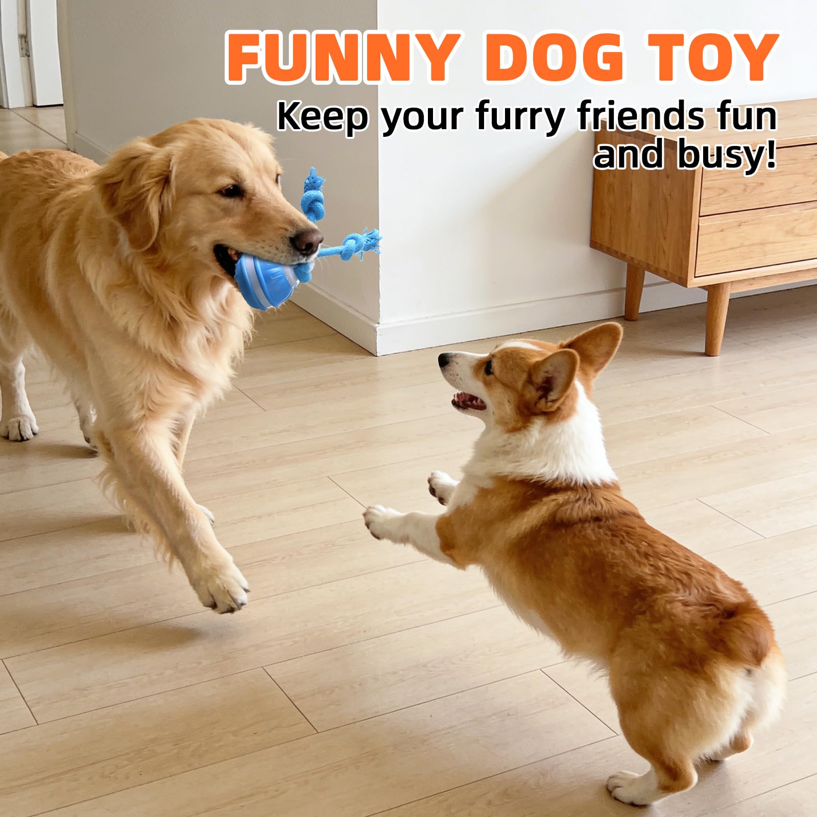 Juguetes para Perros, Pelotas para Perros Interactivos, Juguetes Perro de Salto Automático, Inteligente Pelota Interactiva Perro con Cuerda para Pequeños y Medianos (Azul+Naranja)